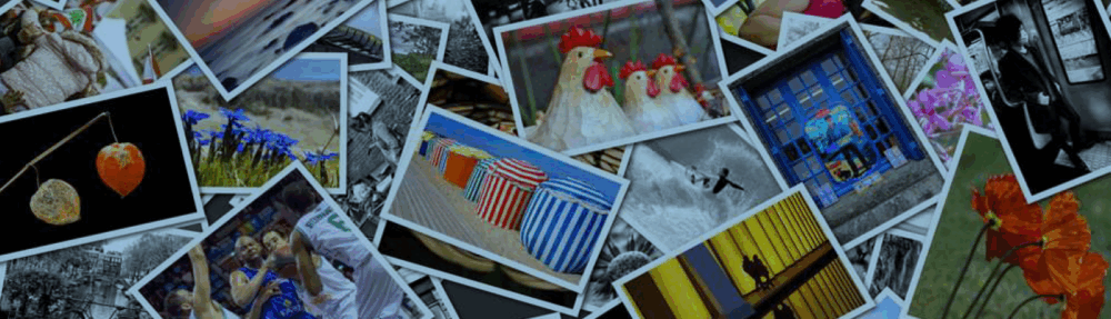 Passionnément photographiques