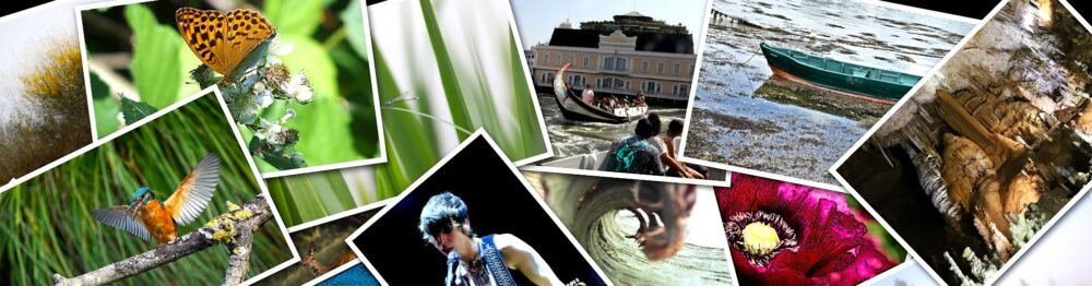 Passionnément photographiques